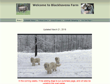 Tablet Screenshot of blackhavens.com